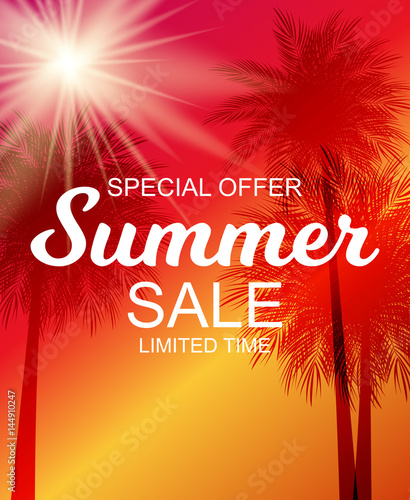 Summer Sale Background Vector Illustration