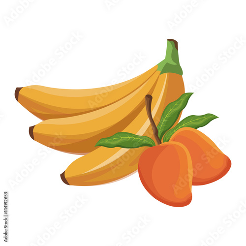 banana and mango fruit tropical food vector illustration eps 10
