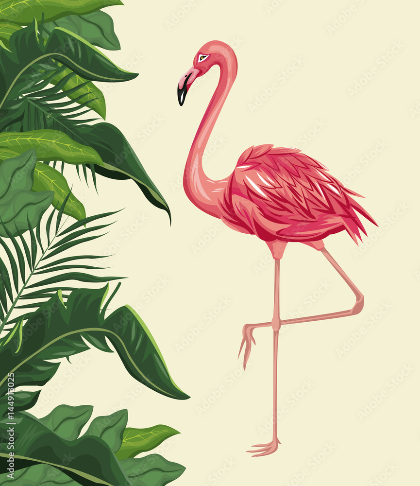 Fototapeta flamingo exotic tropical bird with leaf plam vector illustration eps 10