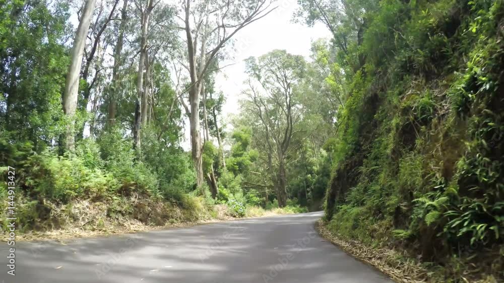 P.O.V. from a on-board-camera in . Driving in a nice landscape on Madeira, Island of Portugal P.O.V. from a on-board-camera in . Driving in a nice landscape on Madeira, Island of Portugal