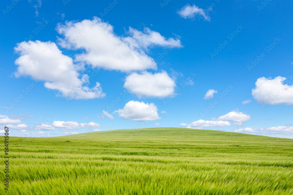beautiful sunny day, farmland landscape in the springtime, calm day, endless field beautiful sunny day, farmland landscape in the springtime, calm day, endless field