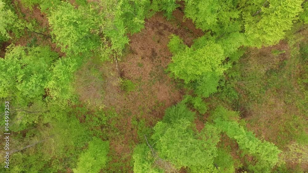 Aerial view of green forest with camera moving up and rotating Aerial view of green forest with camera moving up and rotating