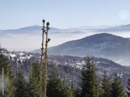 Fototapeta Naklejka Na Ścianę i Meble -  beskidy w zimowym krajobrazie