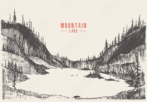 Vector illustration mountain lake pine forest draw