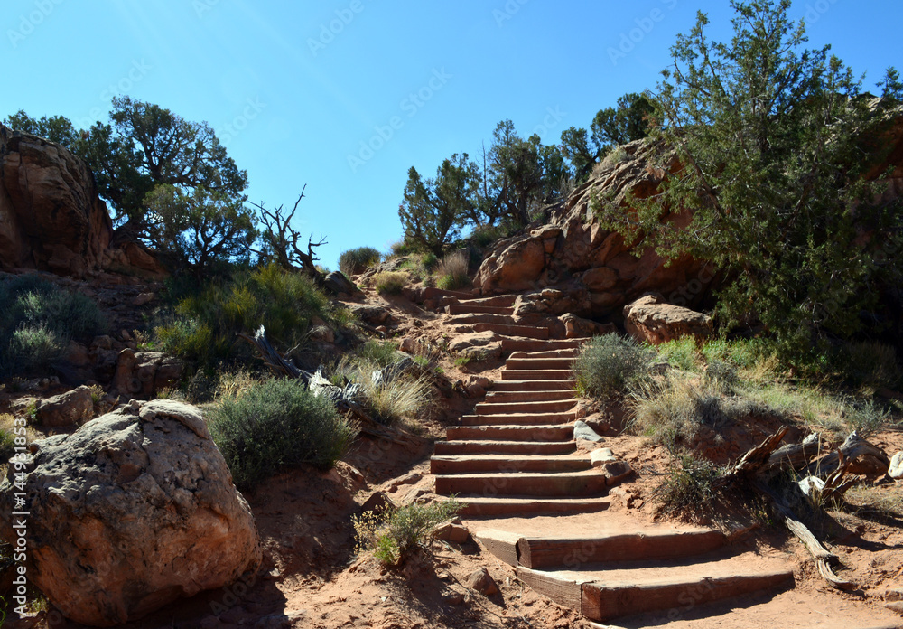 Stairs Higher/Clay stairway leading through desert bushes