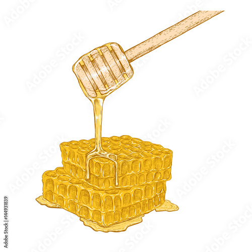 Hand drawn set of honeycomb with honey stick. Vector sketch