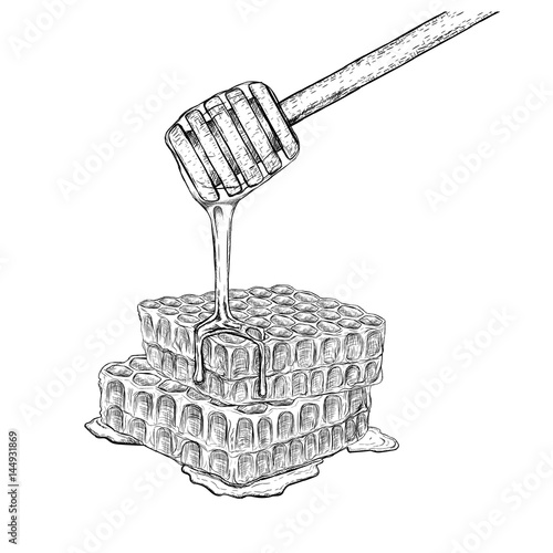 Hand drawn set of honeycomb with honey stick. Vector sketch
