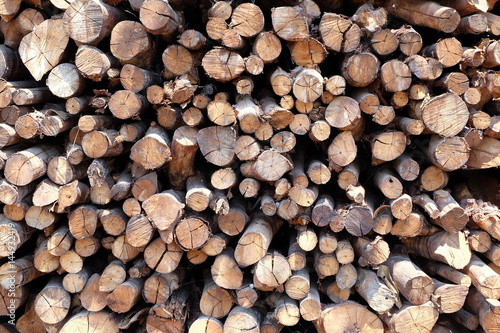 Firewood Background.