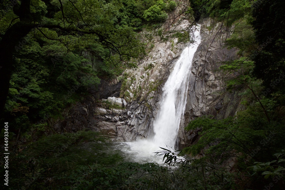 The Nunobiki Falls 布引の滝