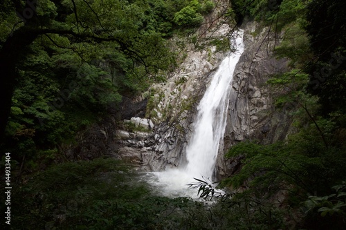 The Nunobiki Falls             