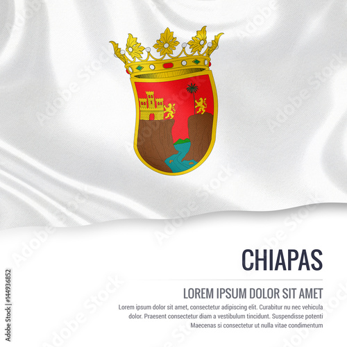 Flag of Mexican state Chiapas waving on an isolated white background. State name and the text area for your message. photo