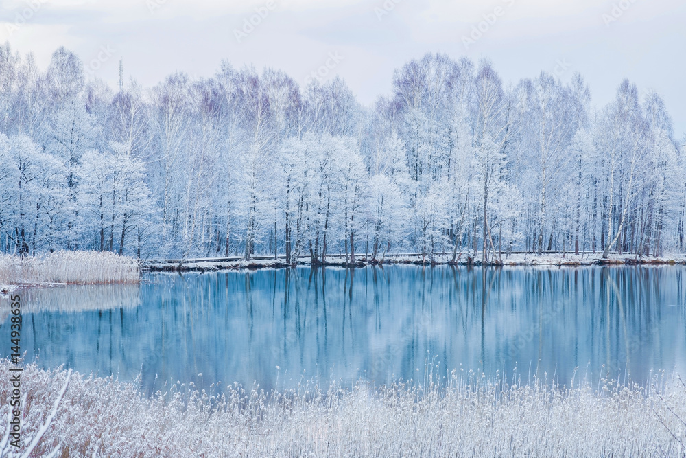 Beautiful landscape with reflection in the blue water. Tree branches are snow covered and look very beautiful at lake in the park after spring blizzard in the afternoon. - obrazy, fototapety, plakaty 