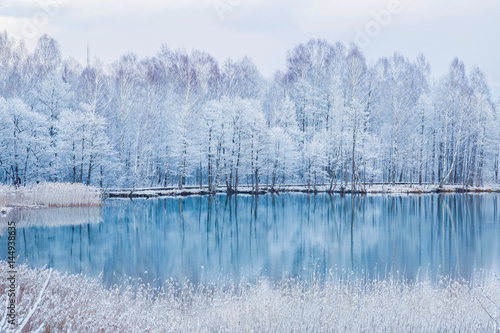 Beautiful landscape with reflection in the blue water. Tree branches are snow covered and look very beautiful at lake in the park after spring blizzard in the afternoon. © fotoduets