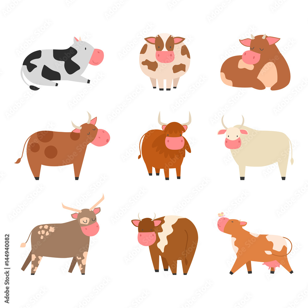 Fototapeta premium Bulls cows farm animal character vector illustration cattle mammal nature wild beef agriculture.
