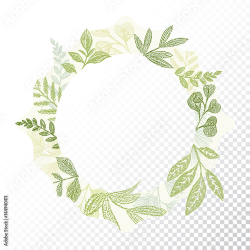 Hand drawn circle flaral frame vector. Green branches and leaves border decoration. Round greenery card decor. Transparent background