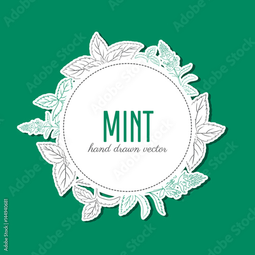Round frame, label, sticker with vector mint leaves, peppermint branch, flower hand drawn sketch isolated on white background, Hand drawn spicy herbs, Doodle cooking ingredient for design, packaging