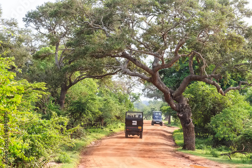 Landscape with road and SUVs in Yala National Park