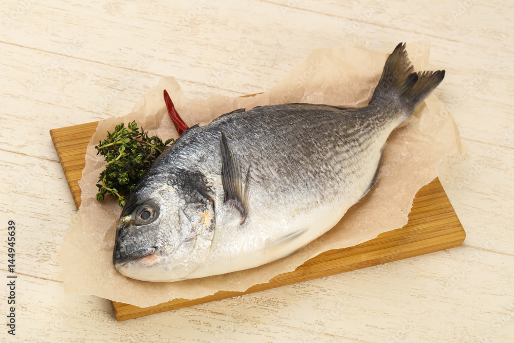 Fototapeta premium raw dorada fish