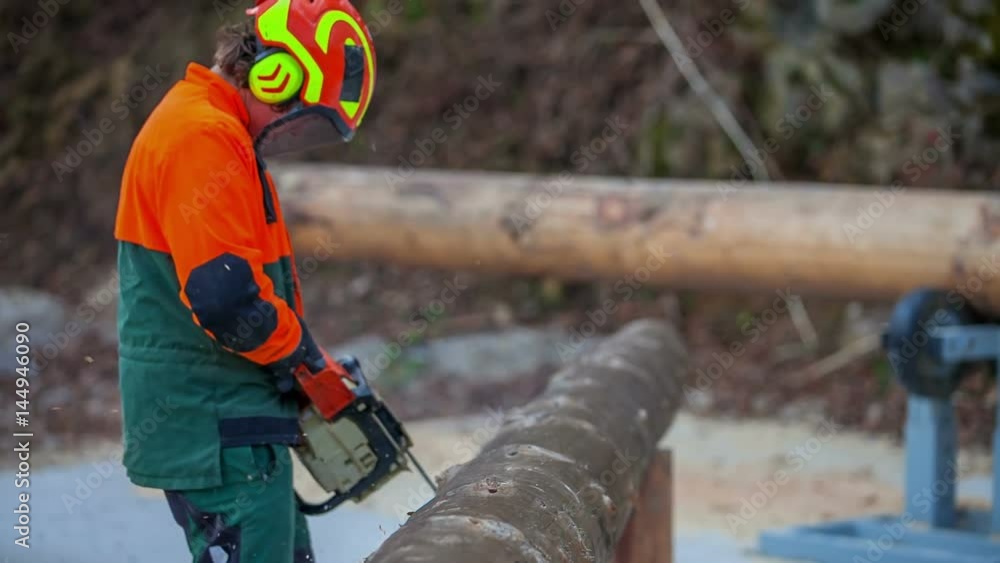 A young forester is getting closer to a tree trunk and he is starting to cut off gnarls. He is wearing protection clothes and a helmet.
A young forester is getting closer to a tree trunk and he is starting to cut off gnarls. He is wearing protection clothes and a helmet.