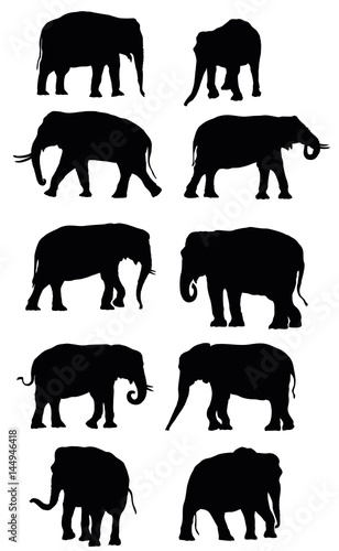 Set of vector black elephants