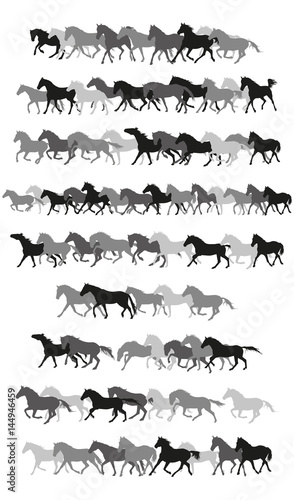 Set of vector horses silhouettes in black and grey