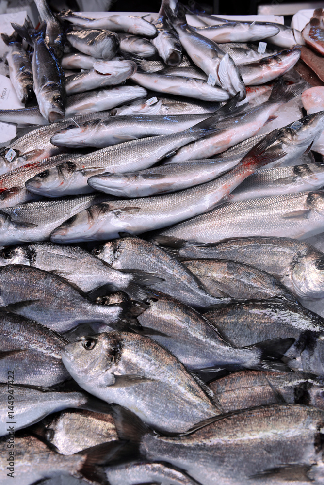 showcase of seafood in the sea market showcase of seafood in the sea market