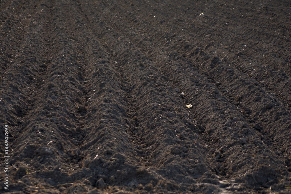 Arable land dug up for planting straight strip Arable land dug up for planting straight strip
