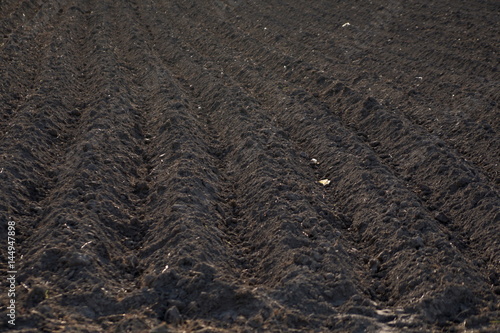 Arable land dug up for planting straight strip