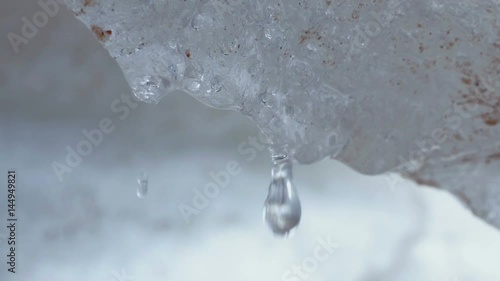 Drops From Melting Snow