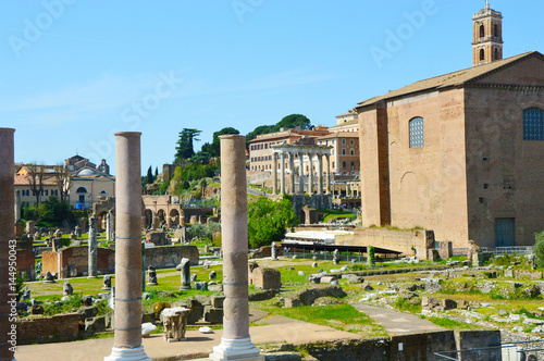 Detail of Roman Forum, Rome Italy (Foro Romano)