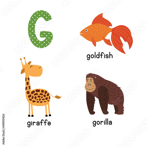 Cute zoo alphabet in vector.G letter. Funny cartoon animals: Goldfish giraffe,gorilla.