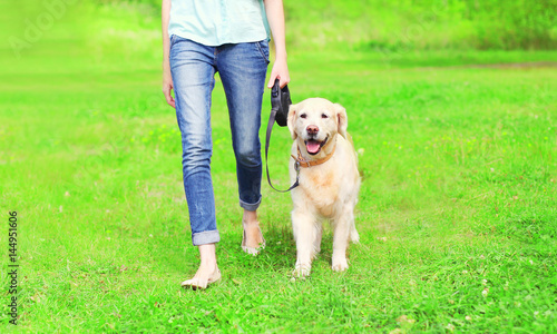 Owner woman with Golden Retriever dog is walking together in a spring park