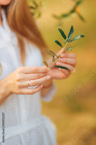 Olive branch in tender female hands. Wedding in Montenegro.