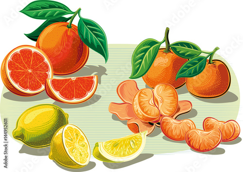 Citrus fruits: oranges, tangerines and lemons on a white background.