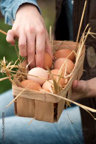 farmer woman gathering fresh eggs into basket at hen farm in countryside. Soft focus