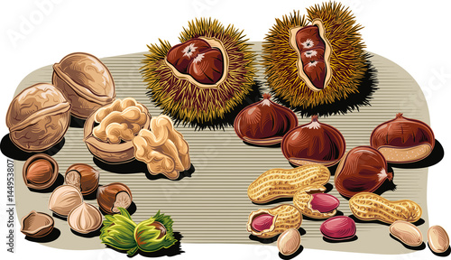 Walnuts, chestnuts, hazelnuts and peanuts, scattered on a floor.