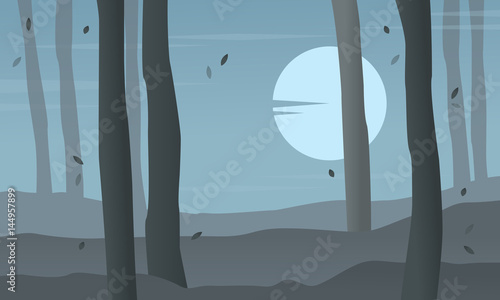 Forest at night scenery silhouettes