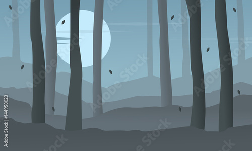 Silhouette of forest at night landscape