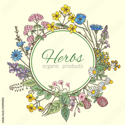 Vector illustration in circle shape. Herbs background, fresh leaves and different flowers. Frame with place for your text