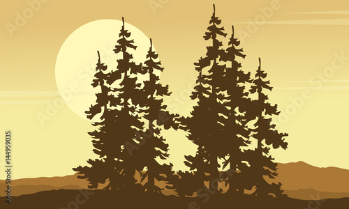 Collection of spruce forest scenery silhouette