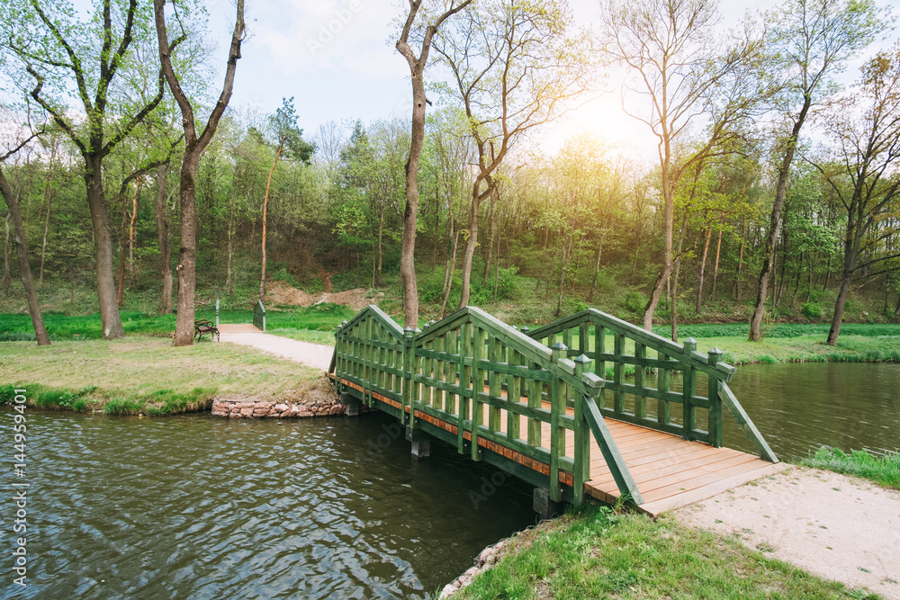 Bridge in the park