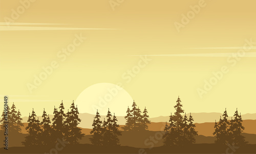 Silhouette of hill scenery with spruce
