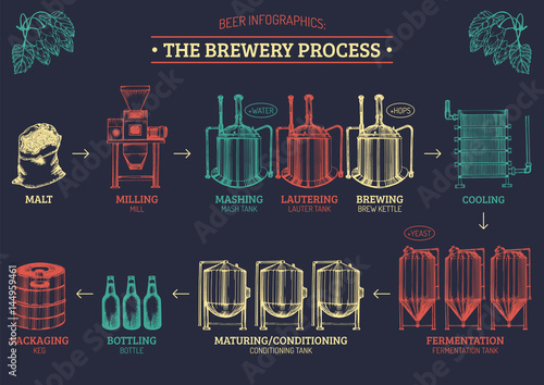 Vector beer infographics with illustrations of brewery process.Sketched drawings of operations elements lager production