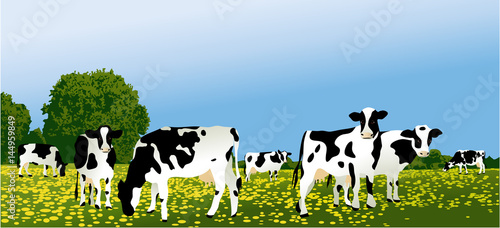 Herd of cows at green field