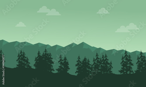Mountain with spruce scenery silhouettes