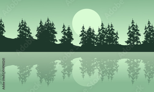 Silhouette of lake with spruce scenery