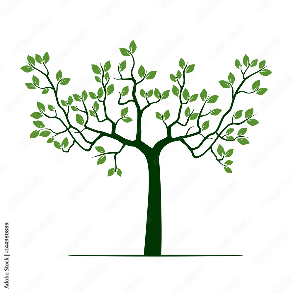 Obraz premium Green Tree with Leafs. Vector Illustration.