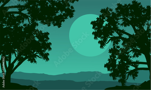 Silhouette of tree on the hill at night