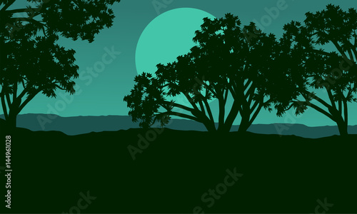 Silhouette of tree at night landscape