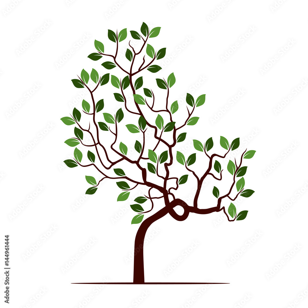 Fototapeta premium Color Tree with Leafs. Vector Illustration.